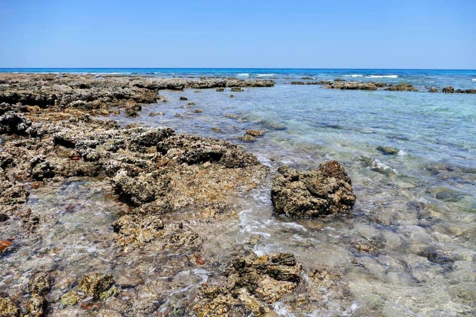 Rosh Marine Protected Area - Socotra Rosh Marine Protected Area - Socotra