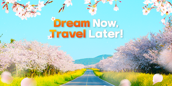 Dearm Now Travel Later Socotra Island Dearm Now Travel Later Socotra Island