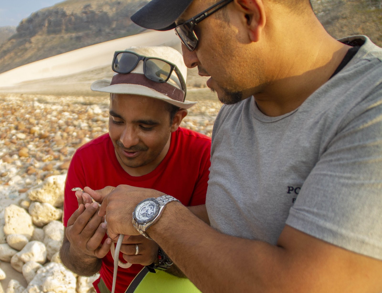 Experienced English-speaking native Socotri guide Socotra Snake Experienced English-speaking native Socotri guide Socotra Snake